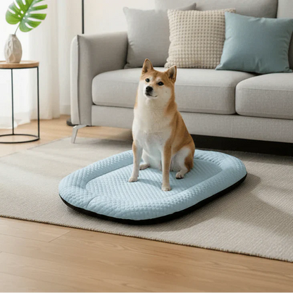 ICEPAD OVAL – Letto rinfrescante per cani di piccola e grande taglia