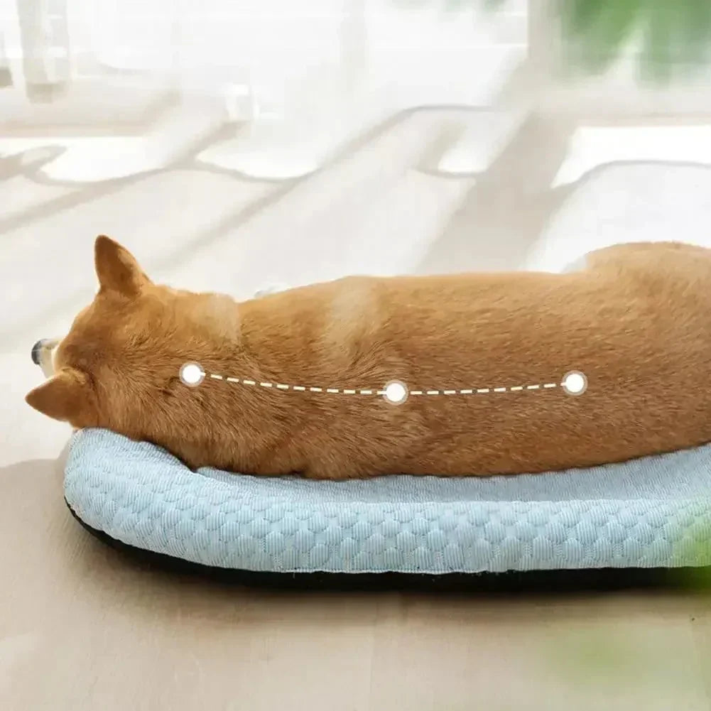 ICEPAD OVAL – Letto rinfrescante per cani di piccola e grande taglia