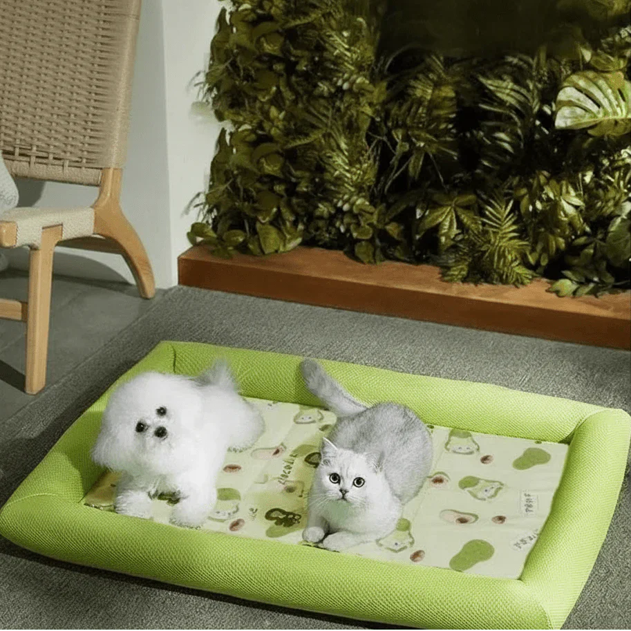 ICEBUDDY – Letto rinfrescante per cani di piccola e media taglia