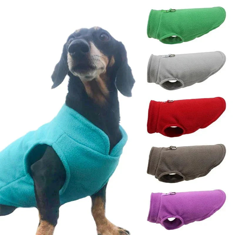 PETSNUG – Gilet per cane idrorepellente con anello a D
