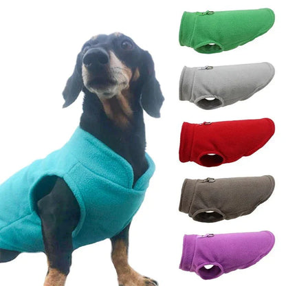PETSNUG – Gilet per cane idrorepellente con anello a D
