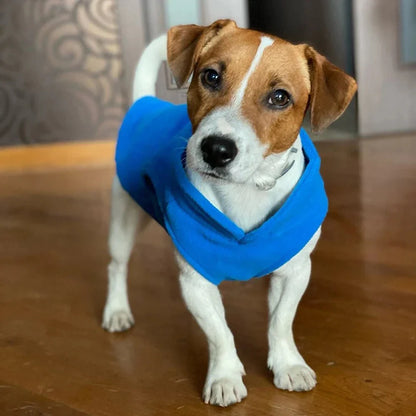 PETSNUG – Gilet per cane idrorepellente con anello a D