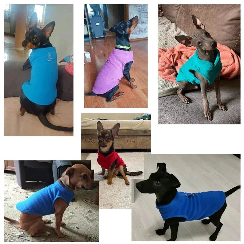 PETSNUG – Gilet per cane idrorepellente con anello a D