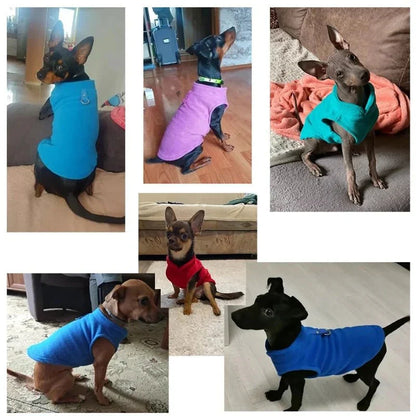 PETSNUG – Gilet per cane idrorepellente con anello a D