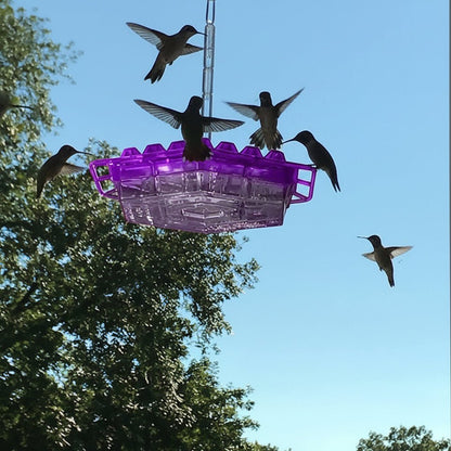 VOGELTRAUM - Alimentatore di nettare a prova di formiche per i colibrì