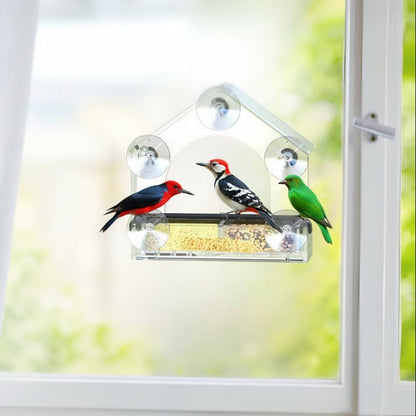 BIRDVISTA – Alimentatore per uccelli da finestra in acrilico con ventose resistenti per osservazione ravvicinata