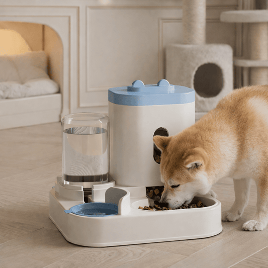 BOWLFREUND – Cibo e acqua naturali per animali domestici