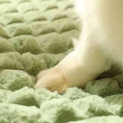 PETSOFT – Letto ortopedico per cani con fodera rimovibile
