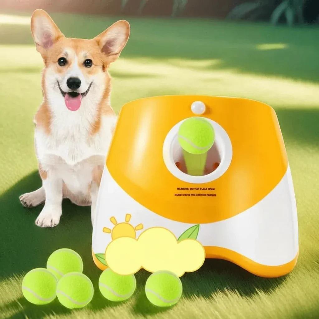 PLAYFETCH – Lancia-palle automatico per cani