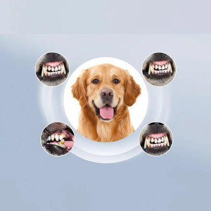 PAWCLEAN – Rimozione ultrasonica del tartaro per animali domestici