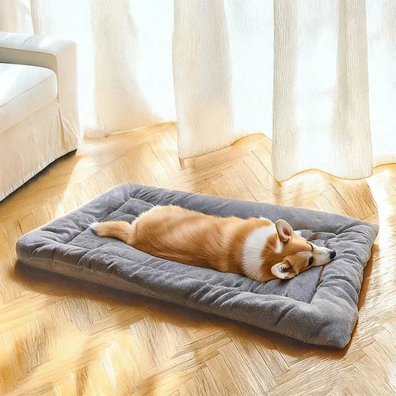 DOGPLUSH – Tappetino per cani spesso in peluche per tutte le taglie