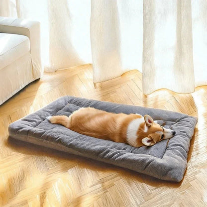 DOGPLUSH – Tappetino per cani spesso in peluche per tutte le taglie