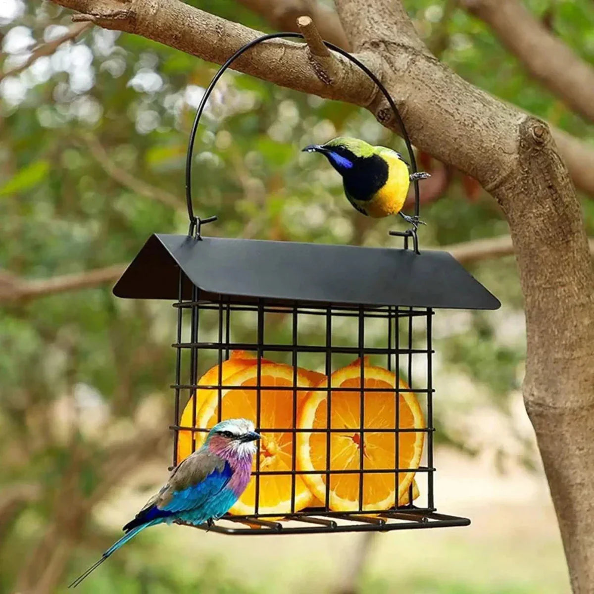 BIRDNESTER – Alimentatore per uccelli appeso con tetto resistente alle intemperie