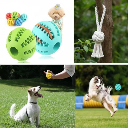 PLAYNIBBLE BALL – Palla interattiva per premi e masticazione per cani