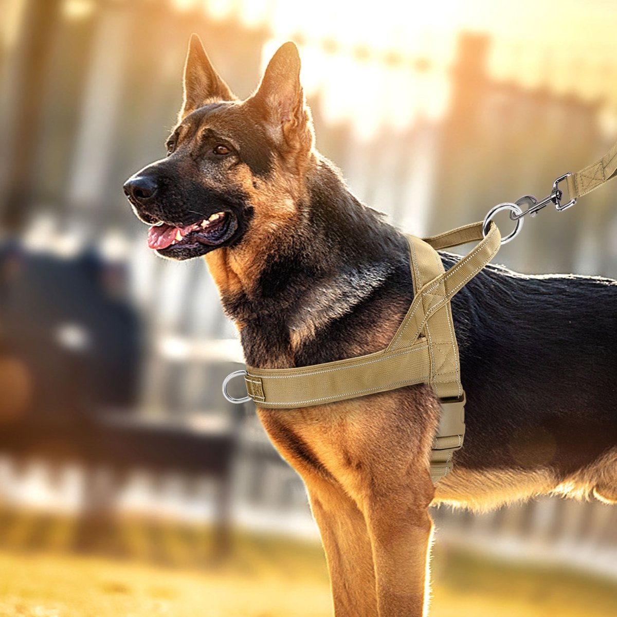 PAWGUARD – Pettorina regolabile riflettente con maniglia per cani di tutte le razze