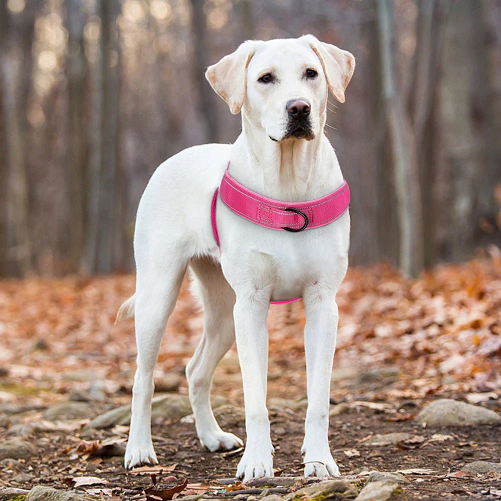 PAWGUARD – Pettorina regolabile riflettente con maniglia per cani di tutte le razze