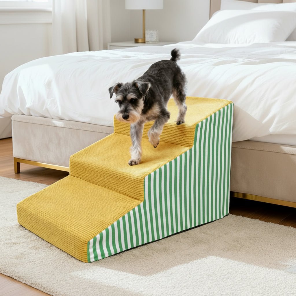 PAWGLIDE CORE – Scaletta per cani in schiuma di sostegno, con lieve inclinazione e presa sicura