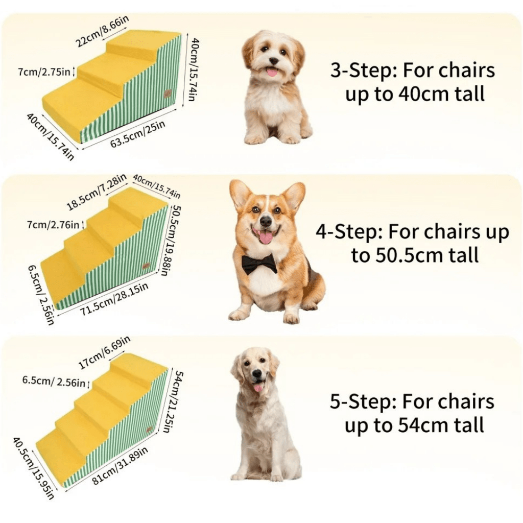PAWGLIDE CORE – Scaletta per cani in schiuma di sostegno, con lieve inclinazione e presa sicura