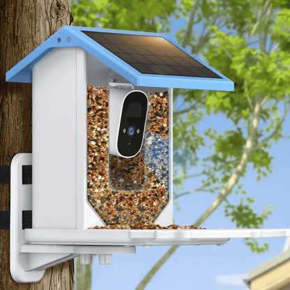 SOLARSCOUT – Alimentatore solare per uccelli con telecamera intelligente 2.4K HD e visione notturna
