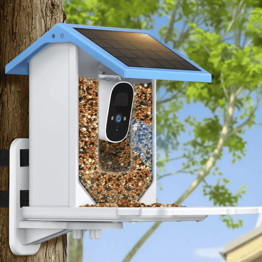 SOLARSCOUT – Alimentatore solare per uccelli con telecamera intelligente 2.4K HD e visione notturna