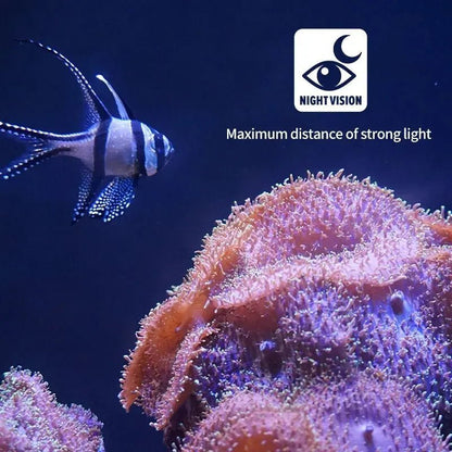 FISHVISION – Telecamera subacquea per la pesca 1080P HD, per pesca su ghiaccio e pesca in barca