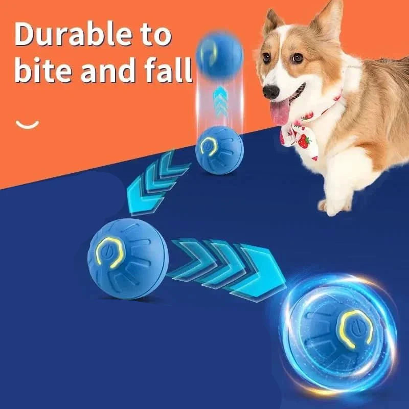 PlayPet Palla Interattiva per Cani - Palla Rimbalzante Ricaricabile