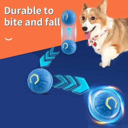 PlayPet Palla Interattiva per Cani - Palla Rimbalzante Ricaricabile