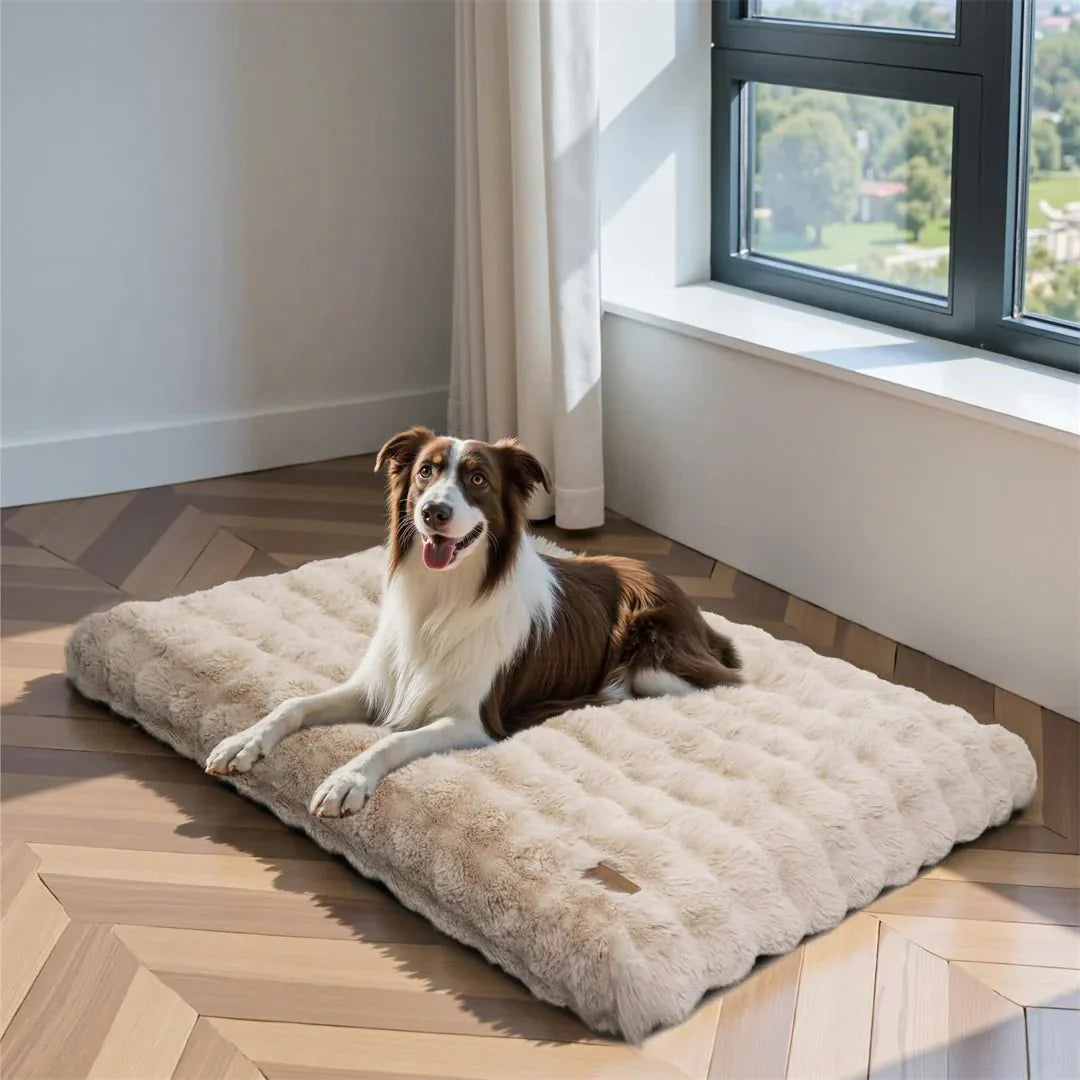 PETSERENE – Letto calmante per cani e gatti