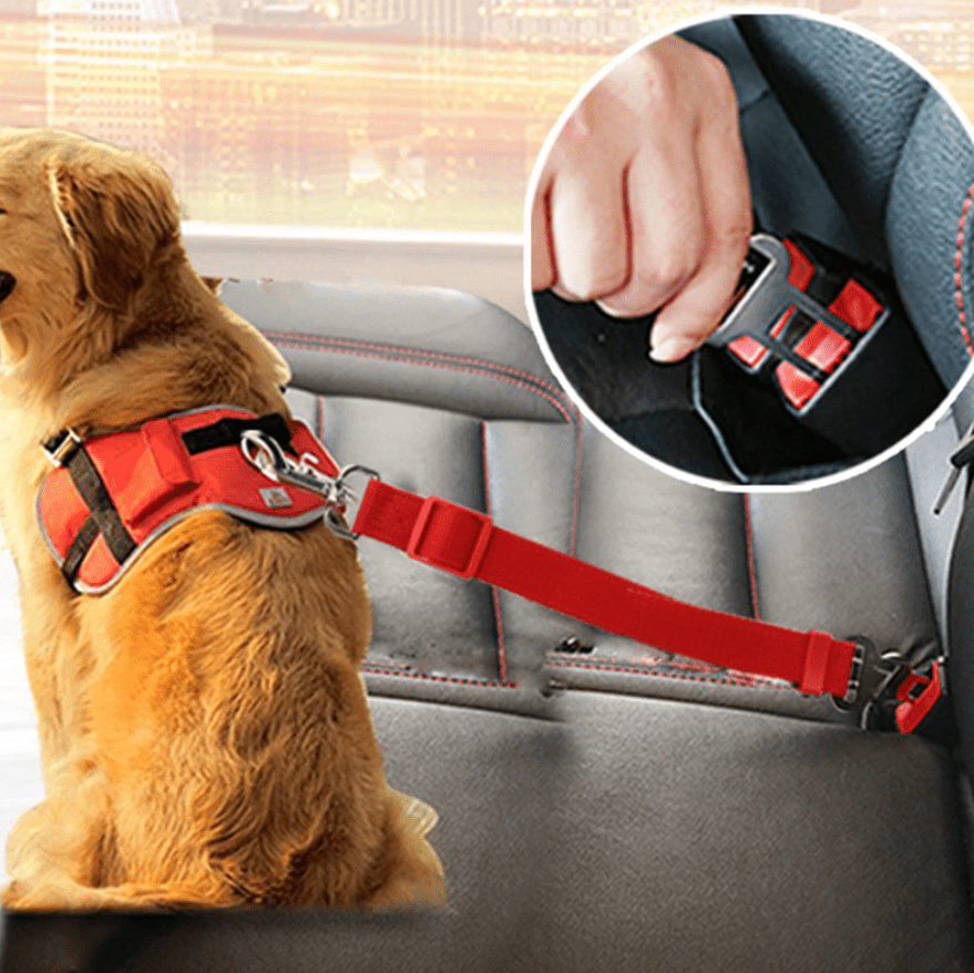 SAFEPAW - Cintura di sicurezza regolabile per cani in auto