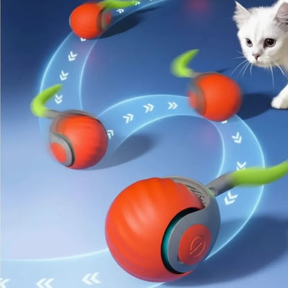 PLAYPAWS – Giocattolo rotolante interattivo USB con coda finta