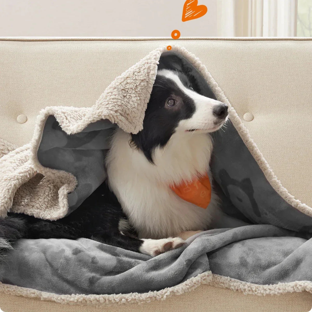 FURBLANKET – Coperta morbida per cani e gatti
