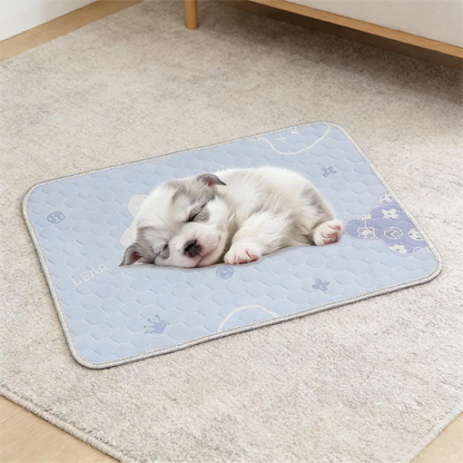 FROSTFUR – Tappetino rinfrescante per cani e gatti con superficie Ice-Silk