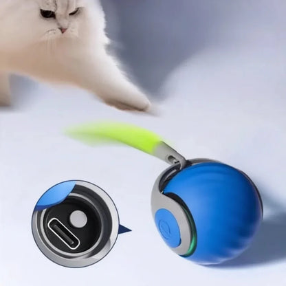 PLAYPAWS – Giocattolo rotolante interattivo USB con coda finta