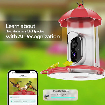 BIRDVUE – Mangiatoio intelligente per uccelli da esterno con videocamera grandangolare 1080p