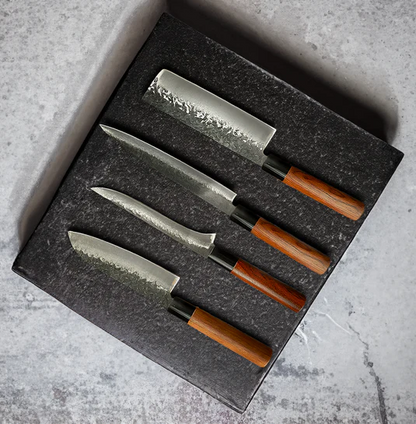 Rassivo Set di Coltelli in Acciaio Inox