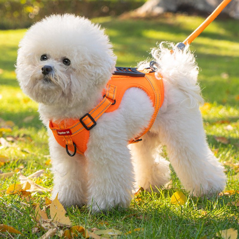 PAWTRIX – Imbracatura per cani comoda e riflettente per passeggiate sicure