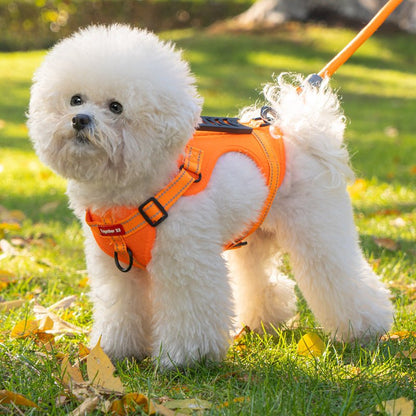 PAWTRIX – Imbracatura per cani comoda e riflettente per passeggiate sicure