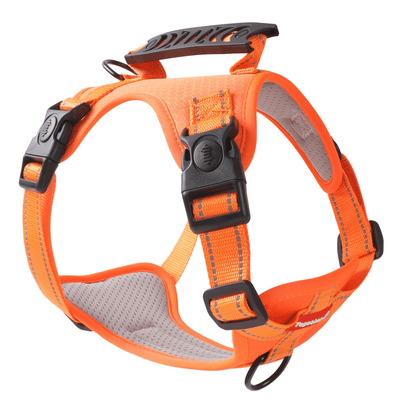 PAWTRIX – Imbracatura per cani comoda e riflettente per passeggiate sicure