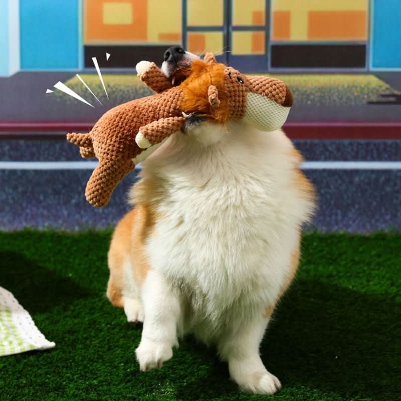 HARDPAW TOY – Giocattolo masticabile resistente per cani di taglia piccola e grande
