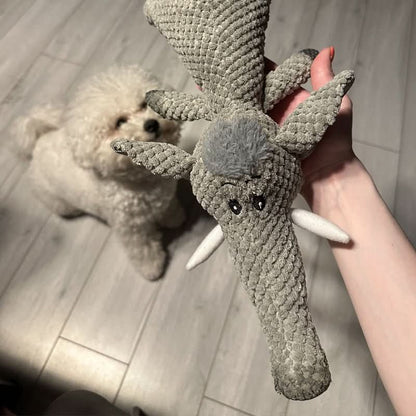 HARDPAW TOY – Giocattolo masticabile resistente per cani di taglia piccola e grande