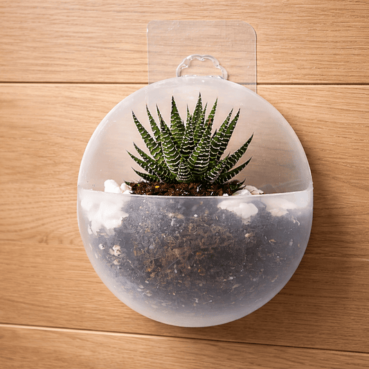 FLOWWALL – Contenitore idroponico da parete per il verde moderno degli ambienti interni.