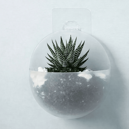 FLOWWALL – Contenitore idroponico da parete per il verde moderno degli ambienti interni.