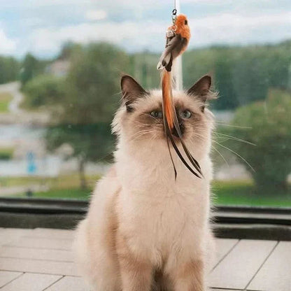 WINGWHIRL – Giocattolo interattivo per gatti con ali svolazzanti