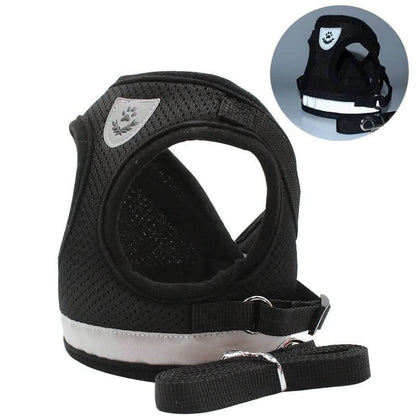 WANDERPAW – Imbracatura per gatto a prova di fuga con dettagli riflettenti