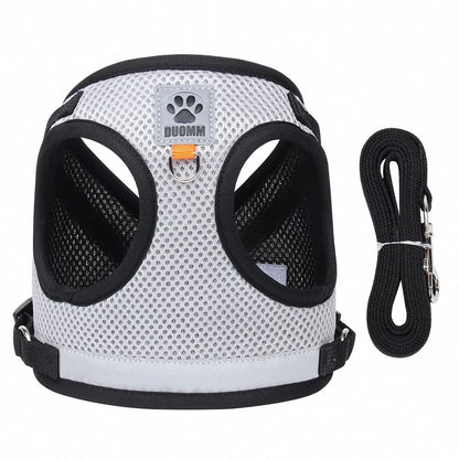 WANDERPAW – Imbracatura per gatto a prova di fuga con dettagli riflettenti