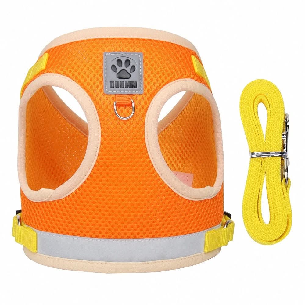 WANDERPAW – Imbracatura per gatto a prova di fuga con dettagli riflettenti