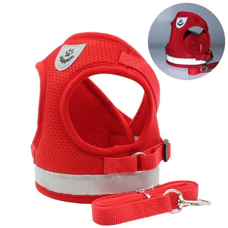 WANDERPAW – Imbracatura per gatto a prova di fuga con dettagli riflettenti