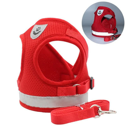 WANDERPAW – Imbracatura per gatto a prova di fuga con dettagli riflettenti