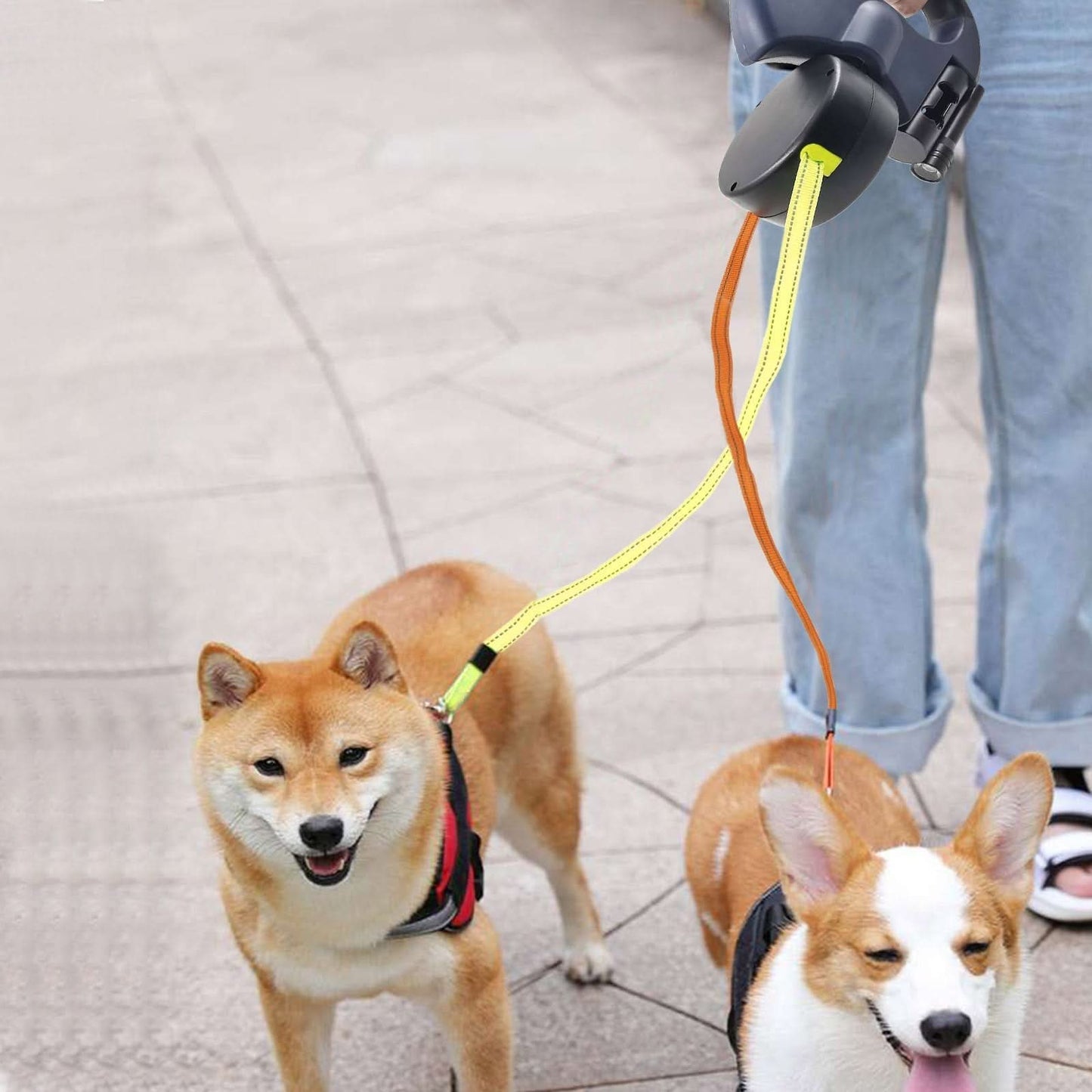PROPET DUO - Guinzaglio retrattile per due cani con torcia integrata