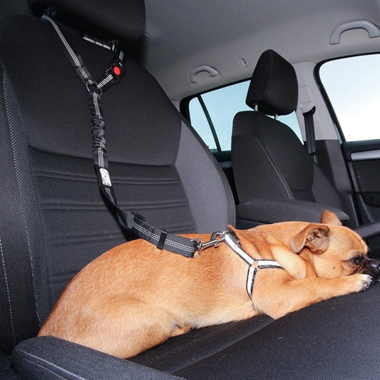 Cintura di Sicurezza per Auto
